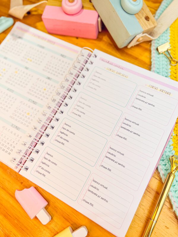 Meu Planner financeiro - Image 11